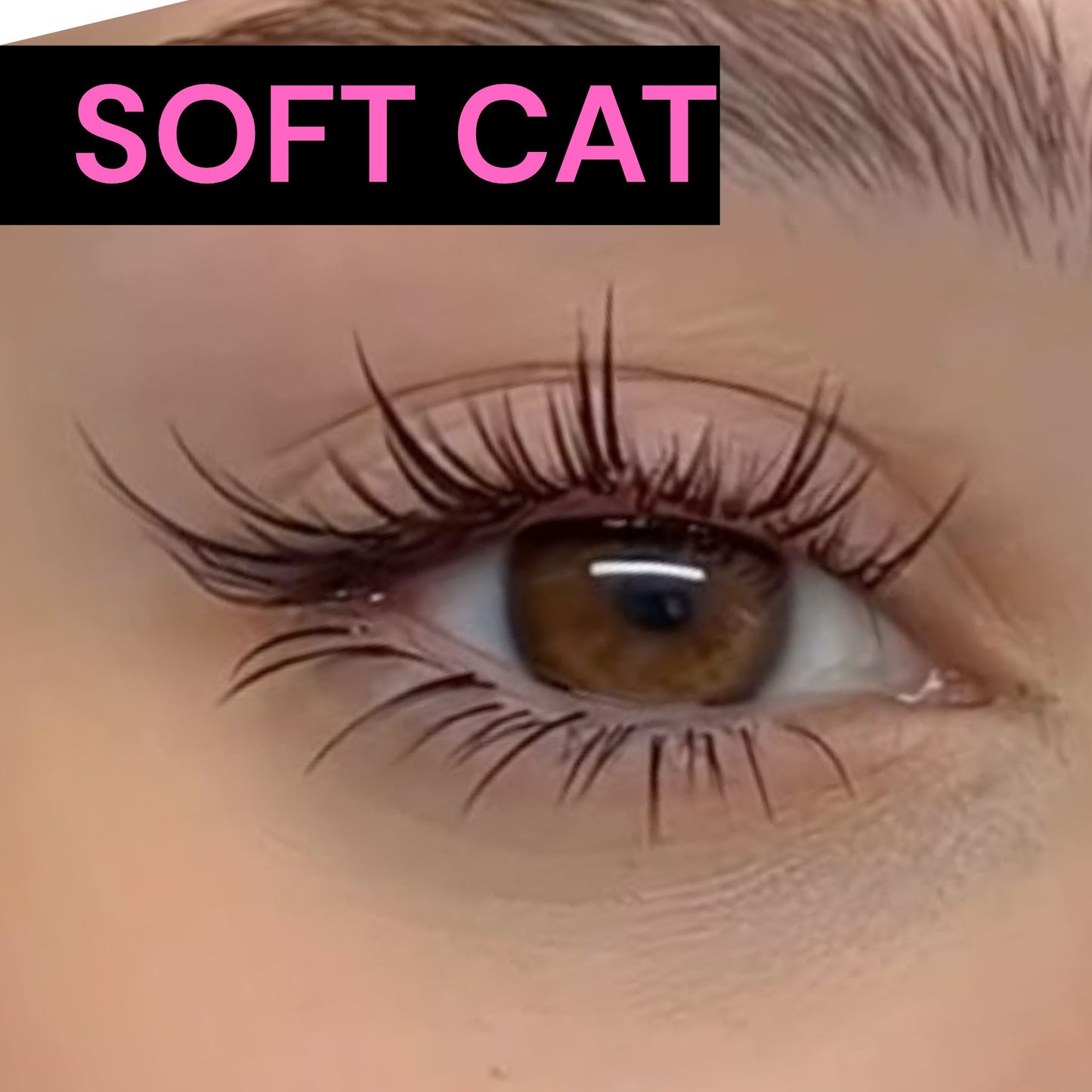 Cat Lashes (No Applicator)