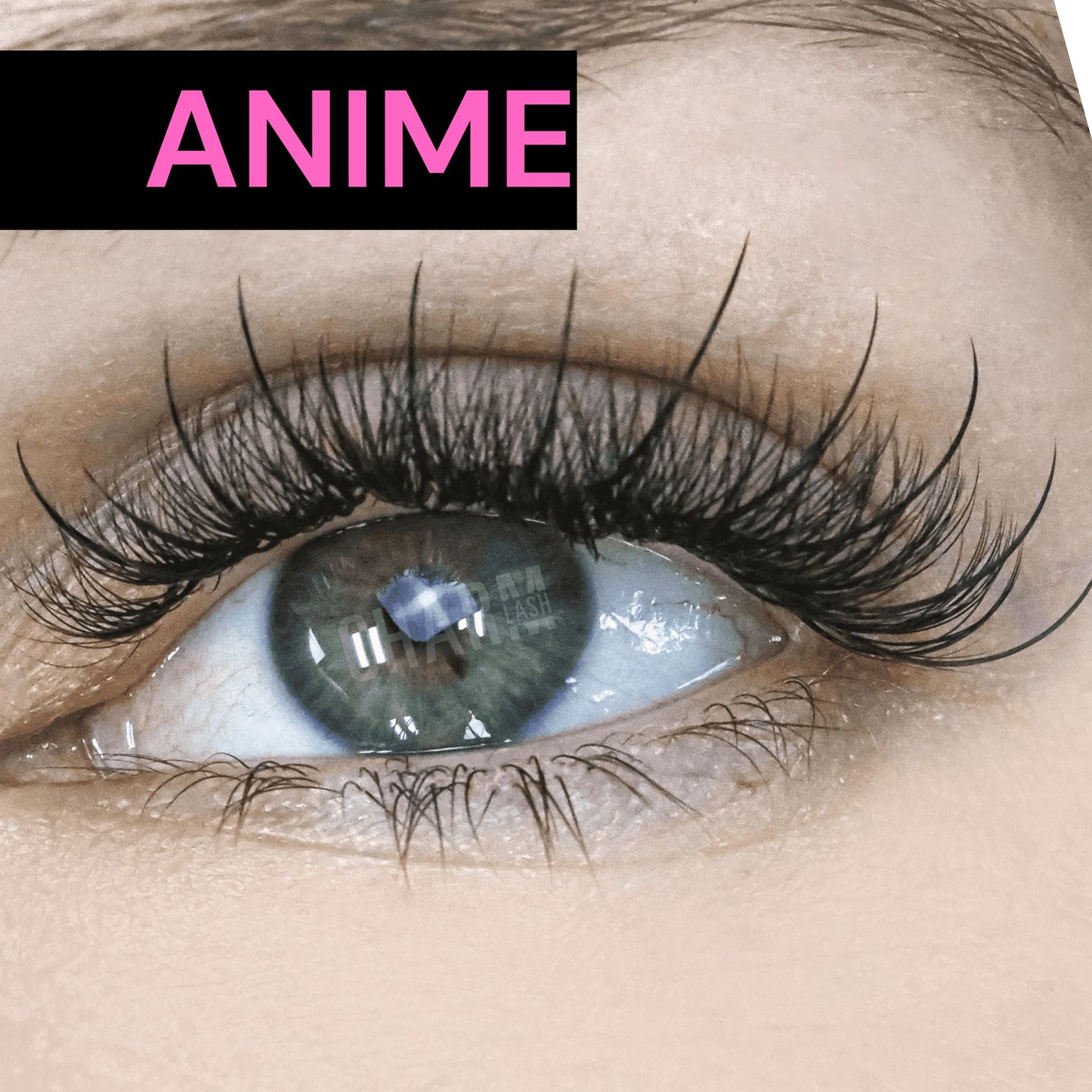 ANIME (No Applicator)